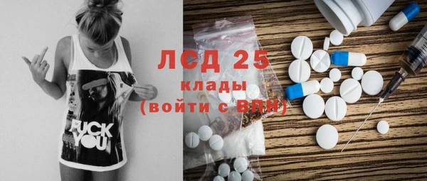 соль ск Богданович
